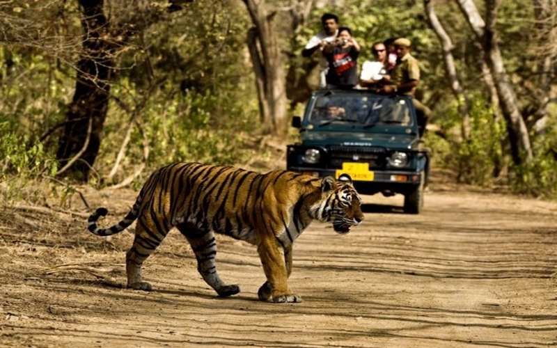 Shillong 02 Nights + Kaziranga 02 Nights + Guwahati 01 Night
