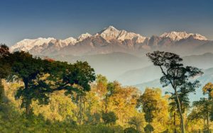 Kalimpong 01N + Gangtok 03N + Lachung 02N + Pelling 02N + Darjeeling 02N