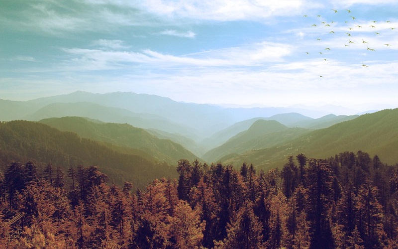 Shimla - Manali - Dharamshala - Dalhousie - Amritsar