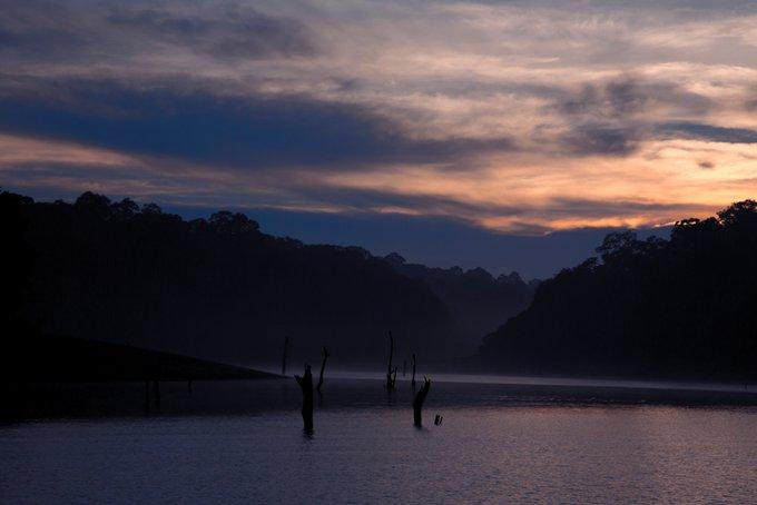 Cochin - Munnar - Thekkady - Kumarakom - Kovalam