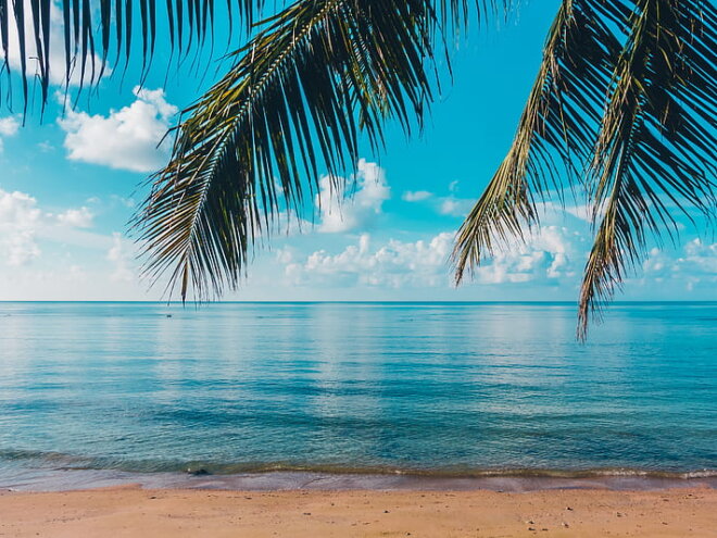 Goa