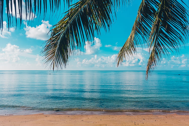 Goa