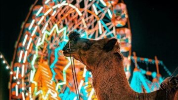 Festivals & Faith – Journey through Sacred Celebrations - Pushkar Fair: Where Traditions Gallop