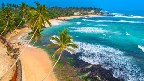 Honeymoon Package – Sri Lanka – 5N-6D